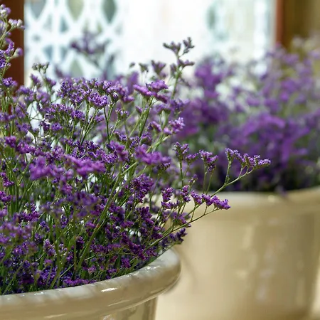 Numa Rua Travesa Apartament *