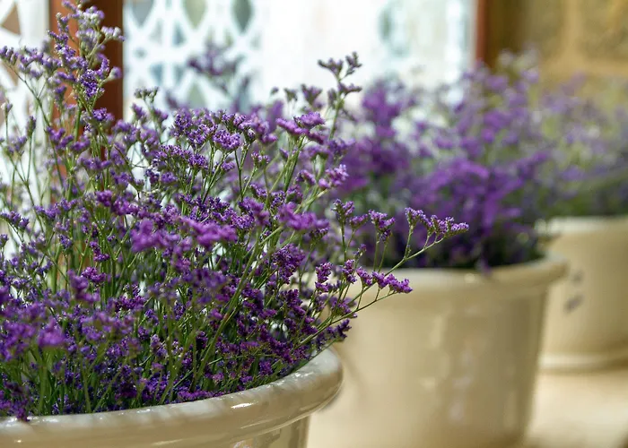 Numa Rua Travesa Апартаменты *