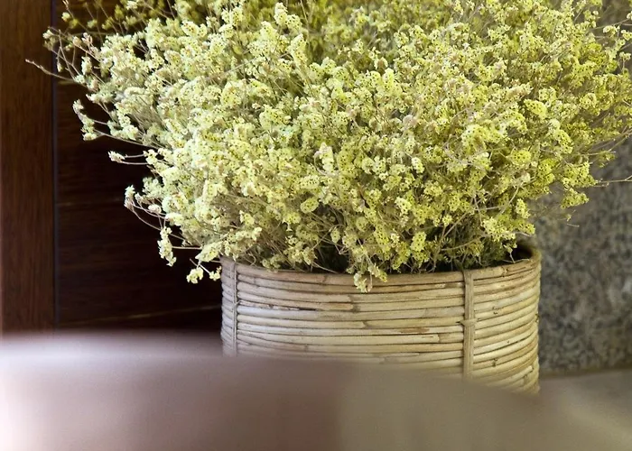 Numa Rua Travesa Daire *